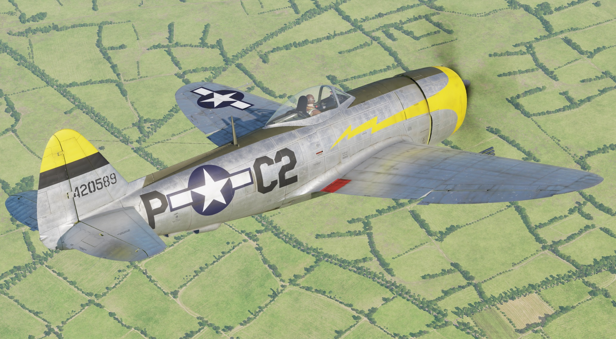 396th Fighter Sqn of the 368th FG "Thunder Bums"