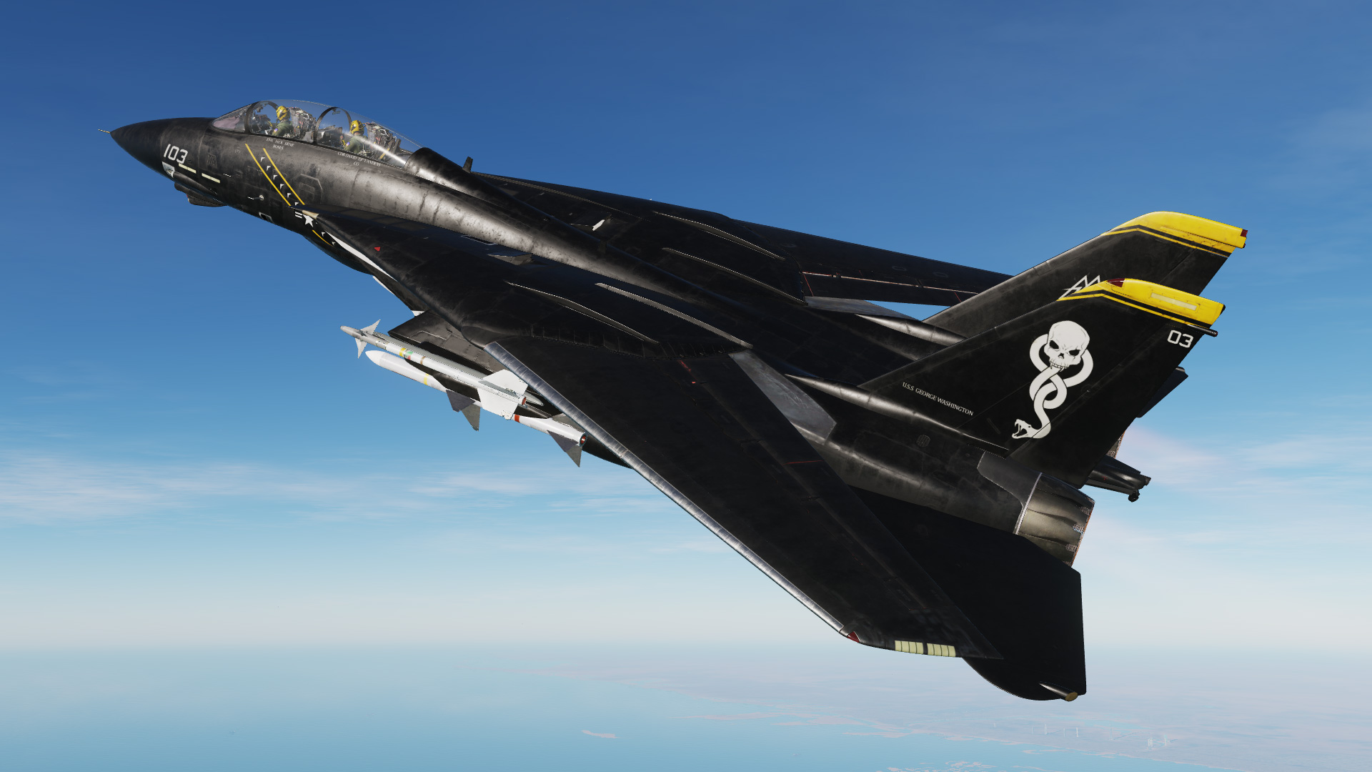 F14 Tomcat Black Mamba v2