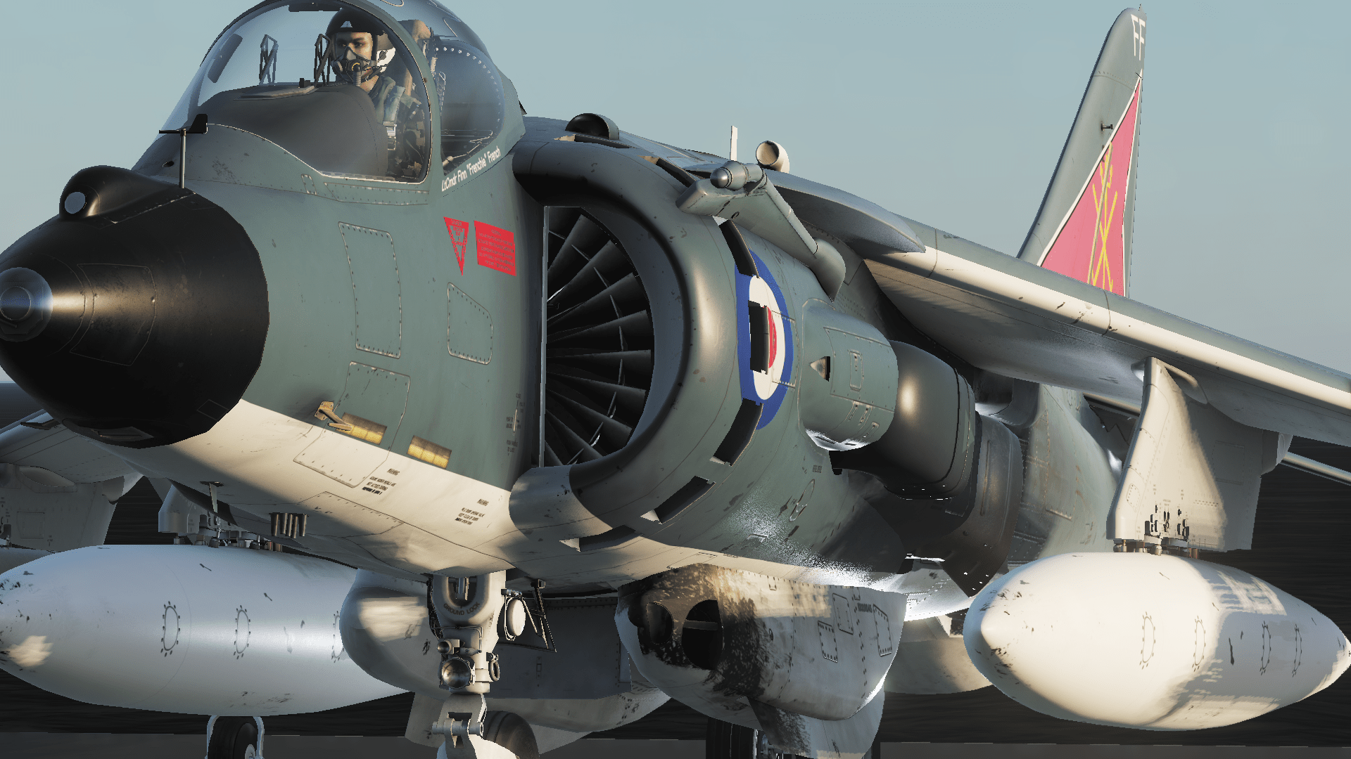 Royal Navy Sea Harrier 800 NAS