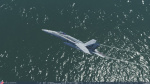 VFA-22 CAG and line jet