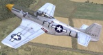 353rd FS, 354th FG - Feeble Eagle