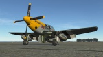 'LOU IV' 375th Fighter Squadron, Eighth Air Force