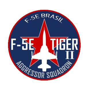 Aggressors BFM Treino