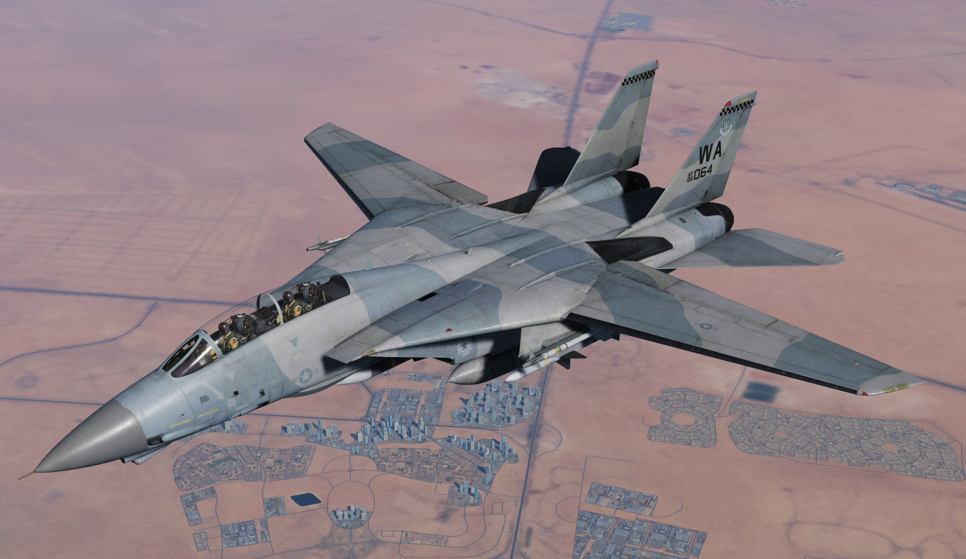 F-14B - 64th Aggressor Squadron 'LowVis'
