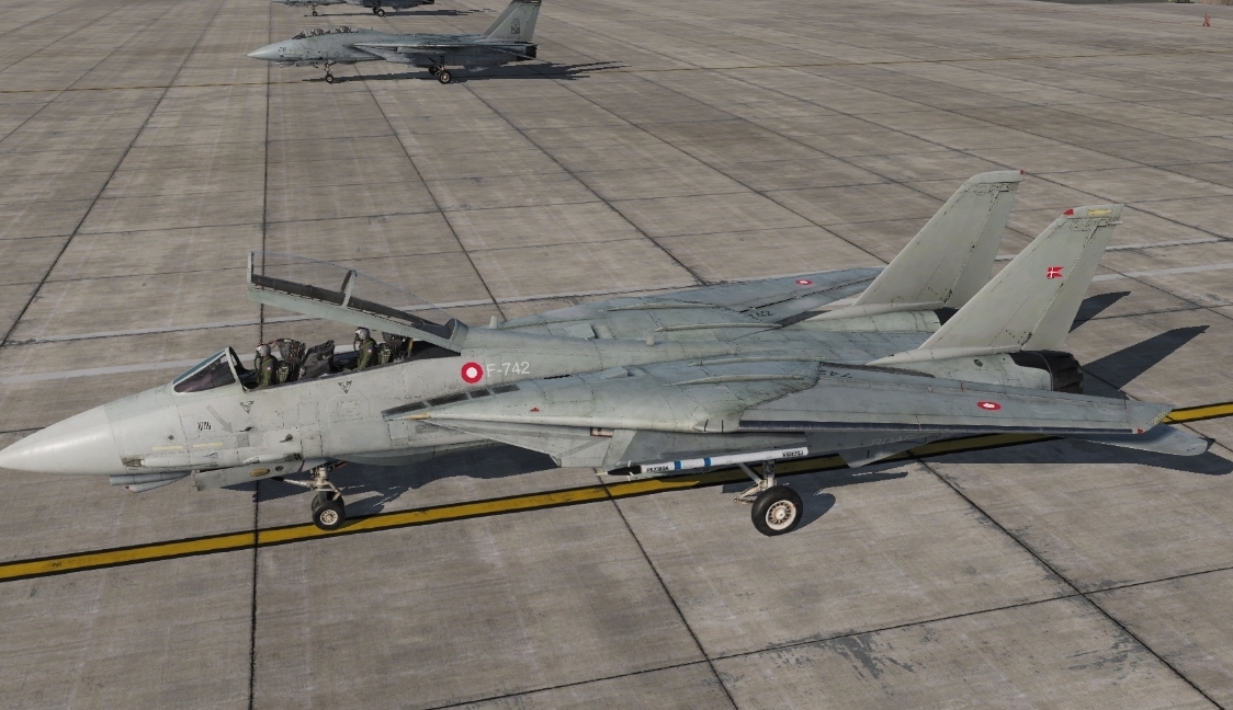 F-14B Basic Royal Danish Air Force Livery 