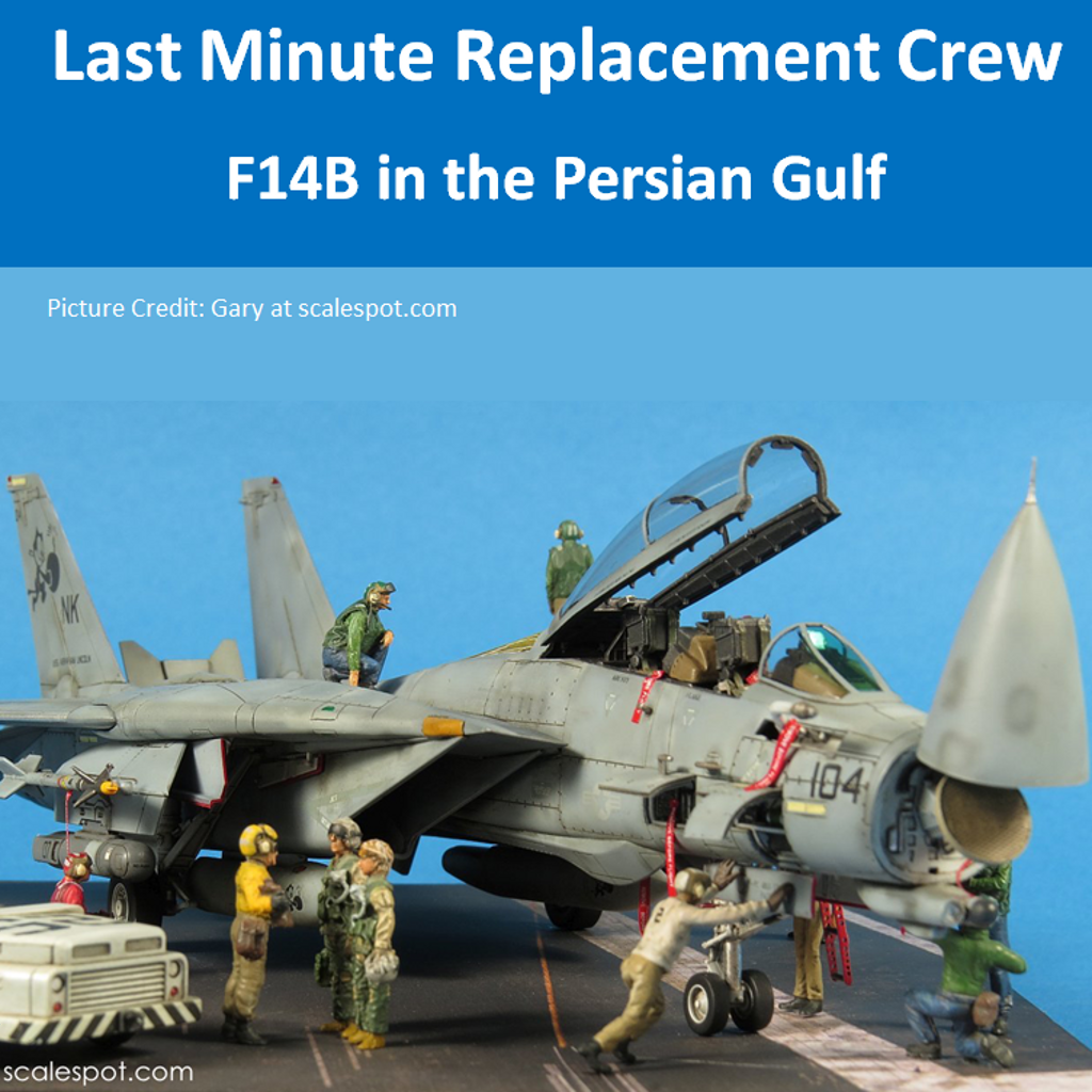 Last Minute Replacement Crew – F14B Persian Gulf