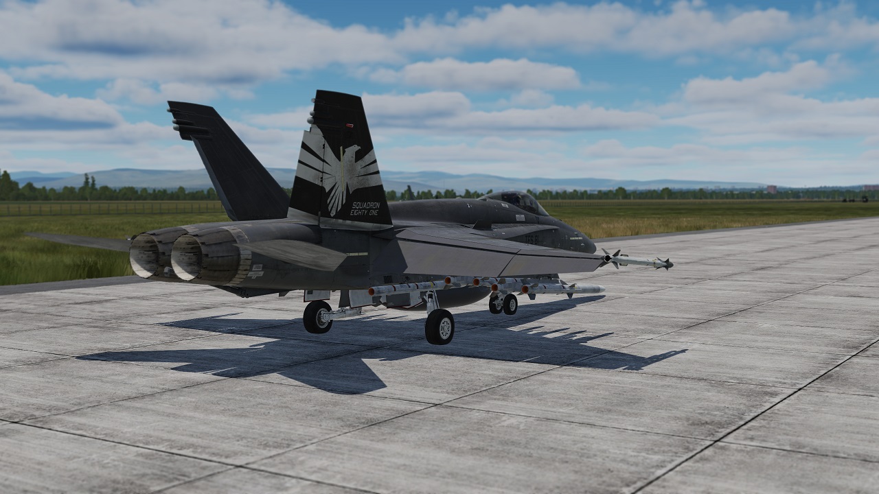 "TFS 81" Hornet Skin