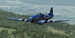 Mustang Teeth 