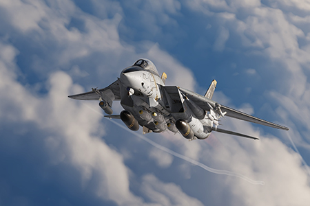 DCS: F-14B(U)