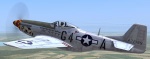362nd FS, 357 FG, Passion Wagon