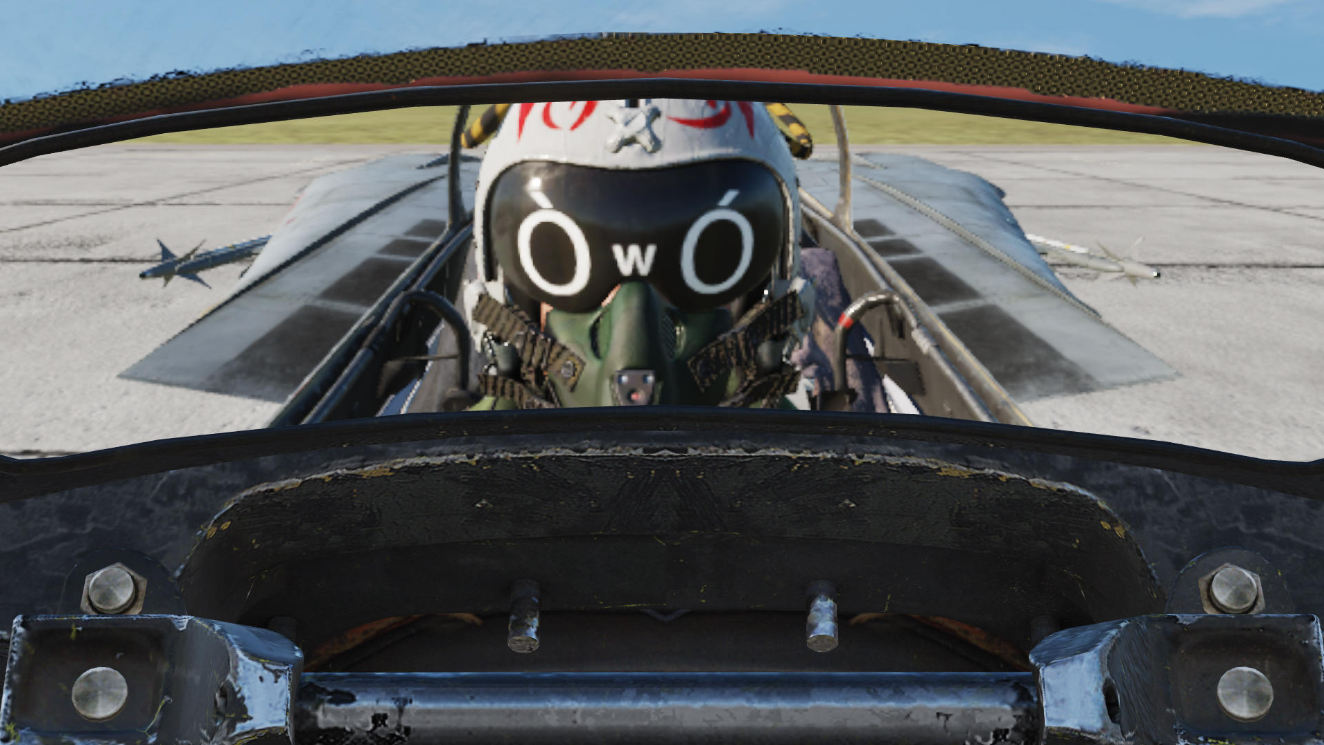 F-14 VF-102 OwObacks