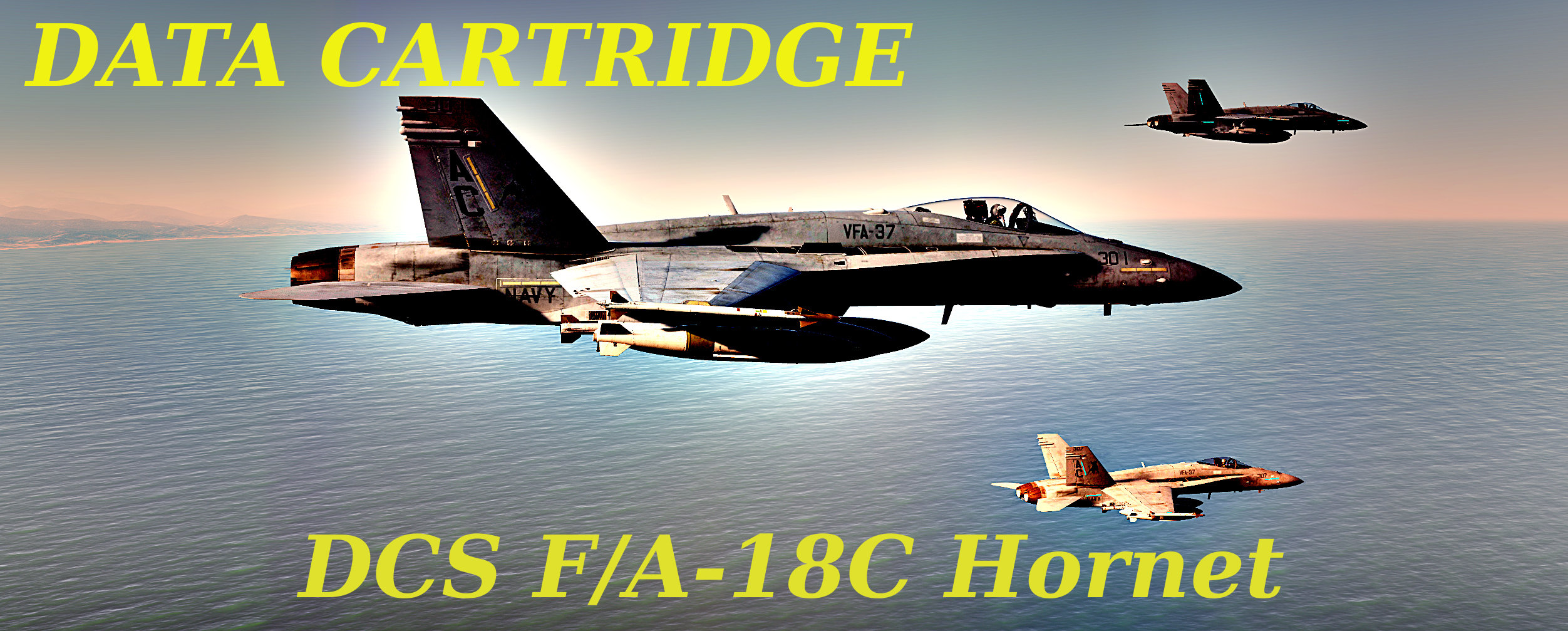Data Cartridge for F/A-18C Hornet