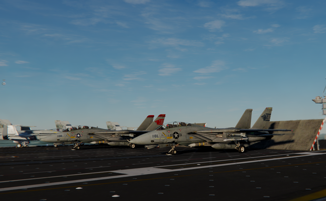 F14-B VF1 Wolfpack 80s Low vis and CAG