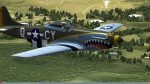 P51 Teeth blank