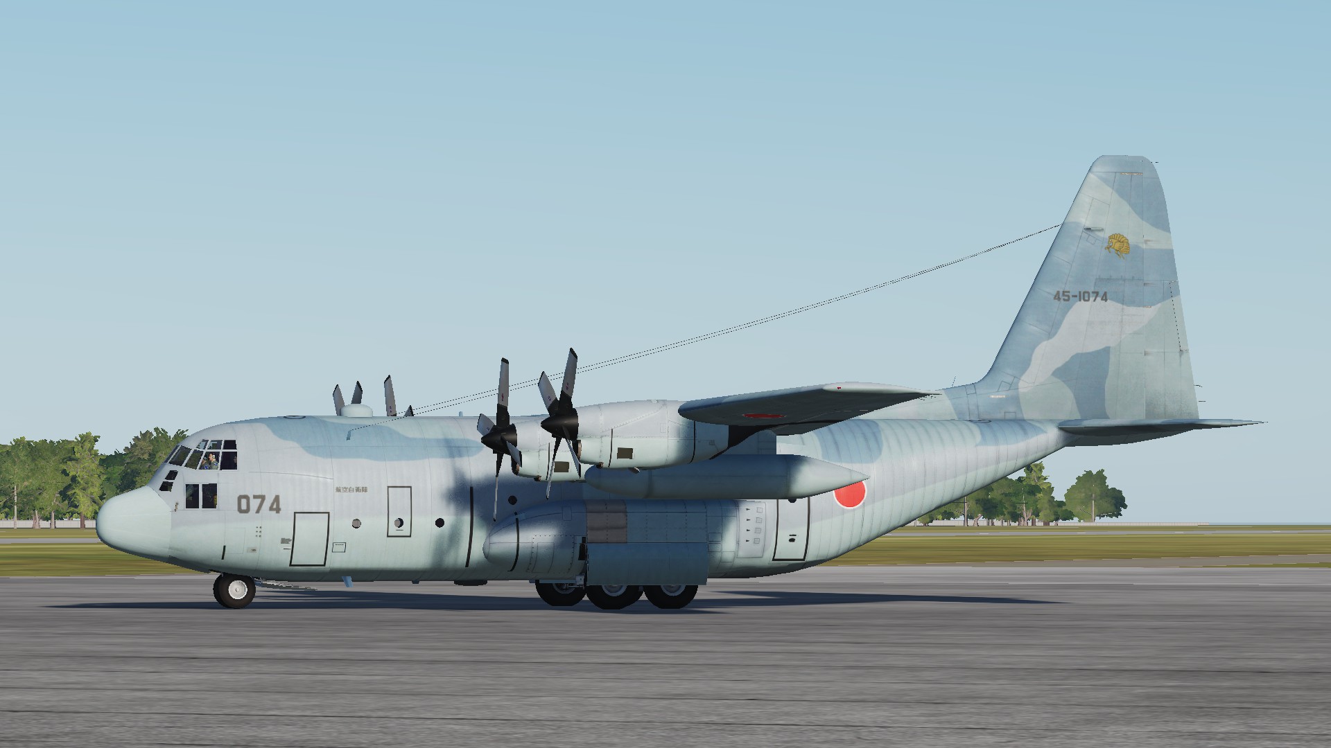 JASDF C-130H 401SQ  C-2 Camouflage Pattern 