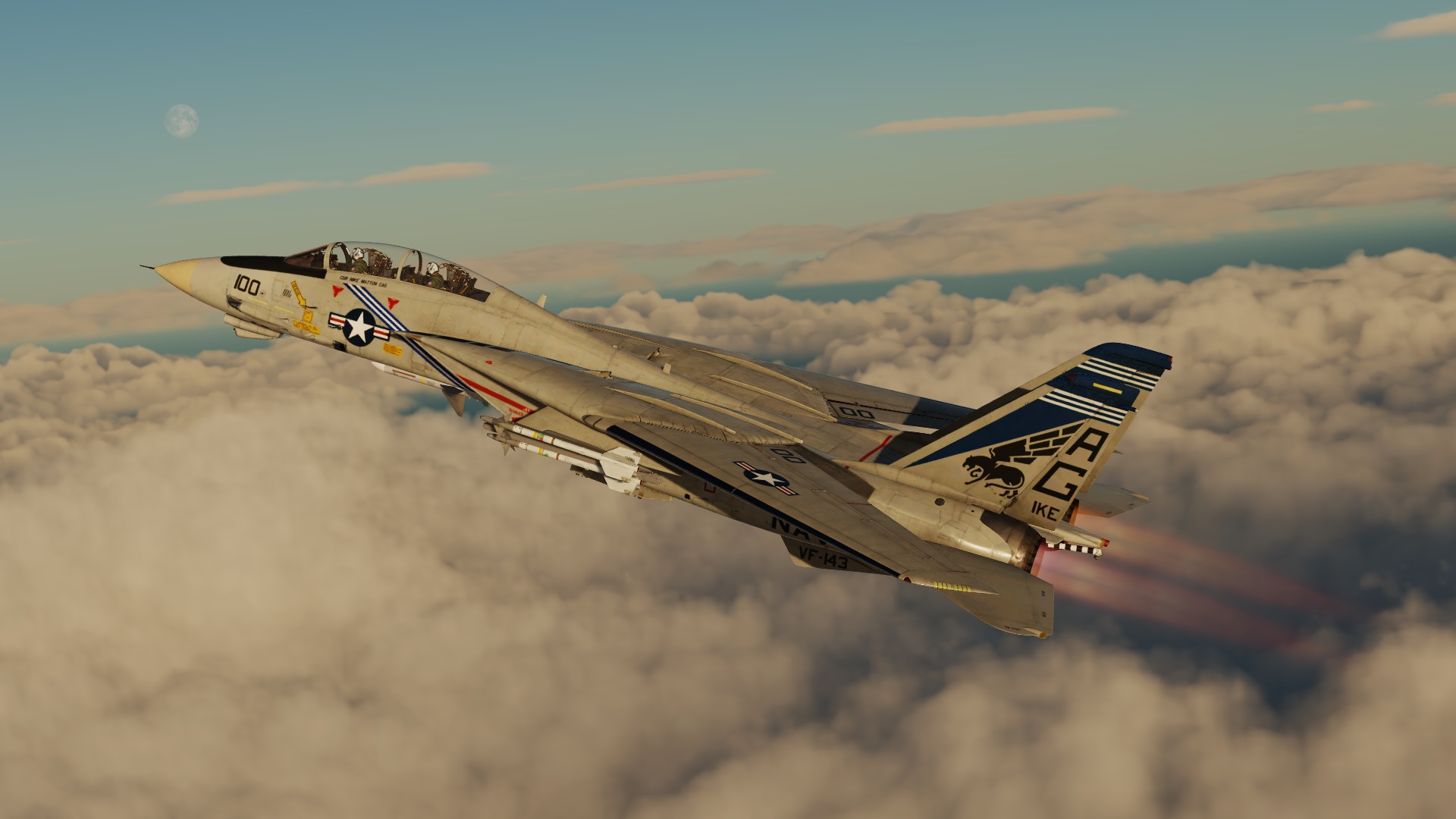 VF-143 Pukin' Dogs CAG 1985