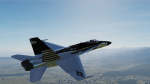 USA Chrome Hornet skin pack