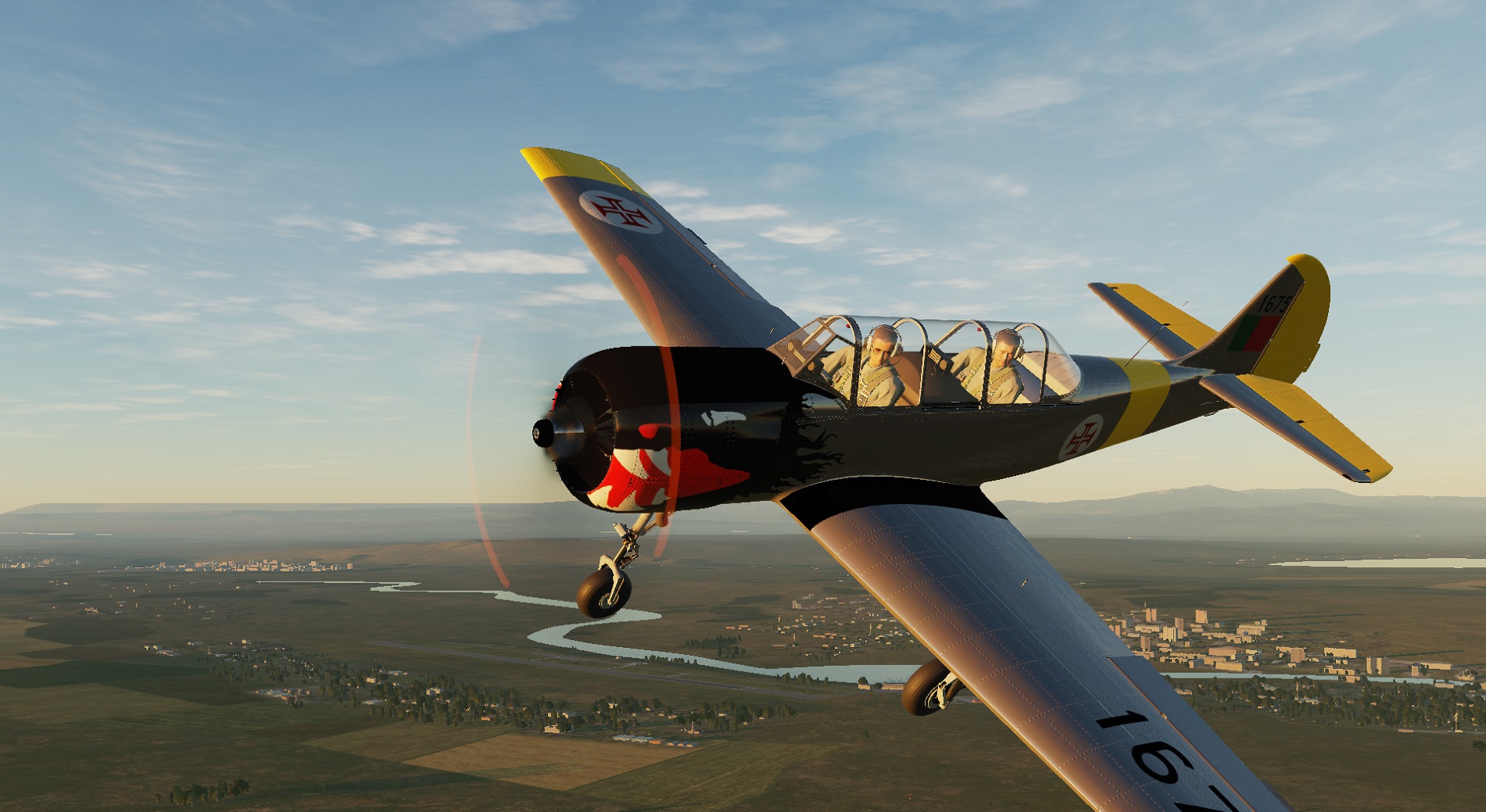 Yak-52 FAP 121 Squadron Roncos 1675