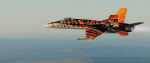 F/A-18C - Canada Tiger Meet 2003