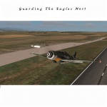 Guarding the Eagles Nest