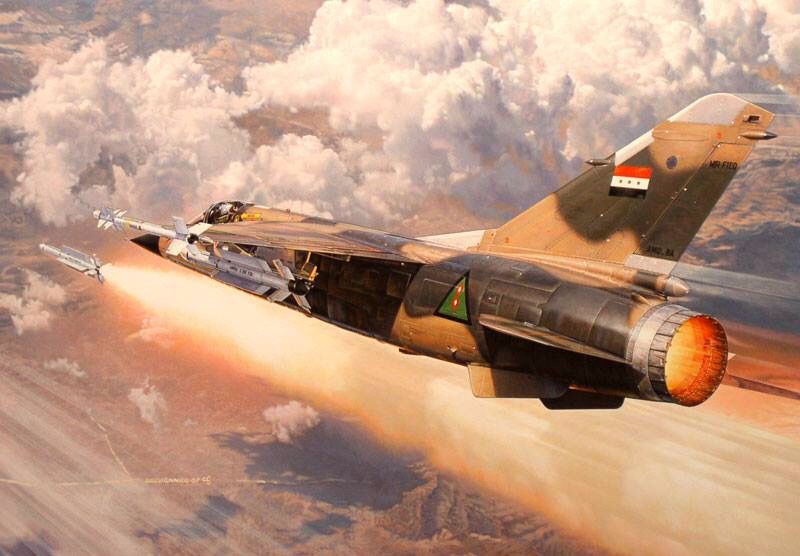 Mirage F-1 - Cat Killers