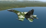 Su-27 Uzbekistan 02