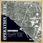 OPERATION LUAU