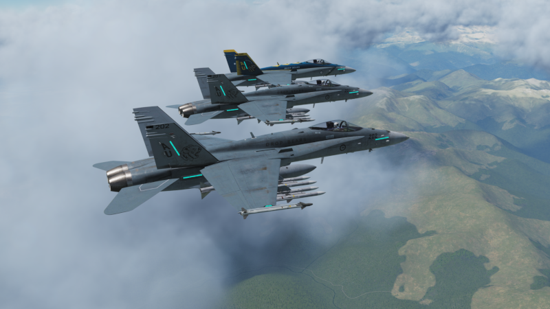 RAAF F/A-18 "Drop Bears" livery Low Vis