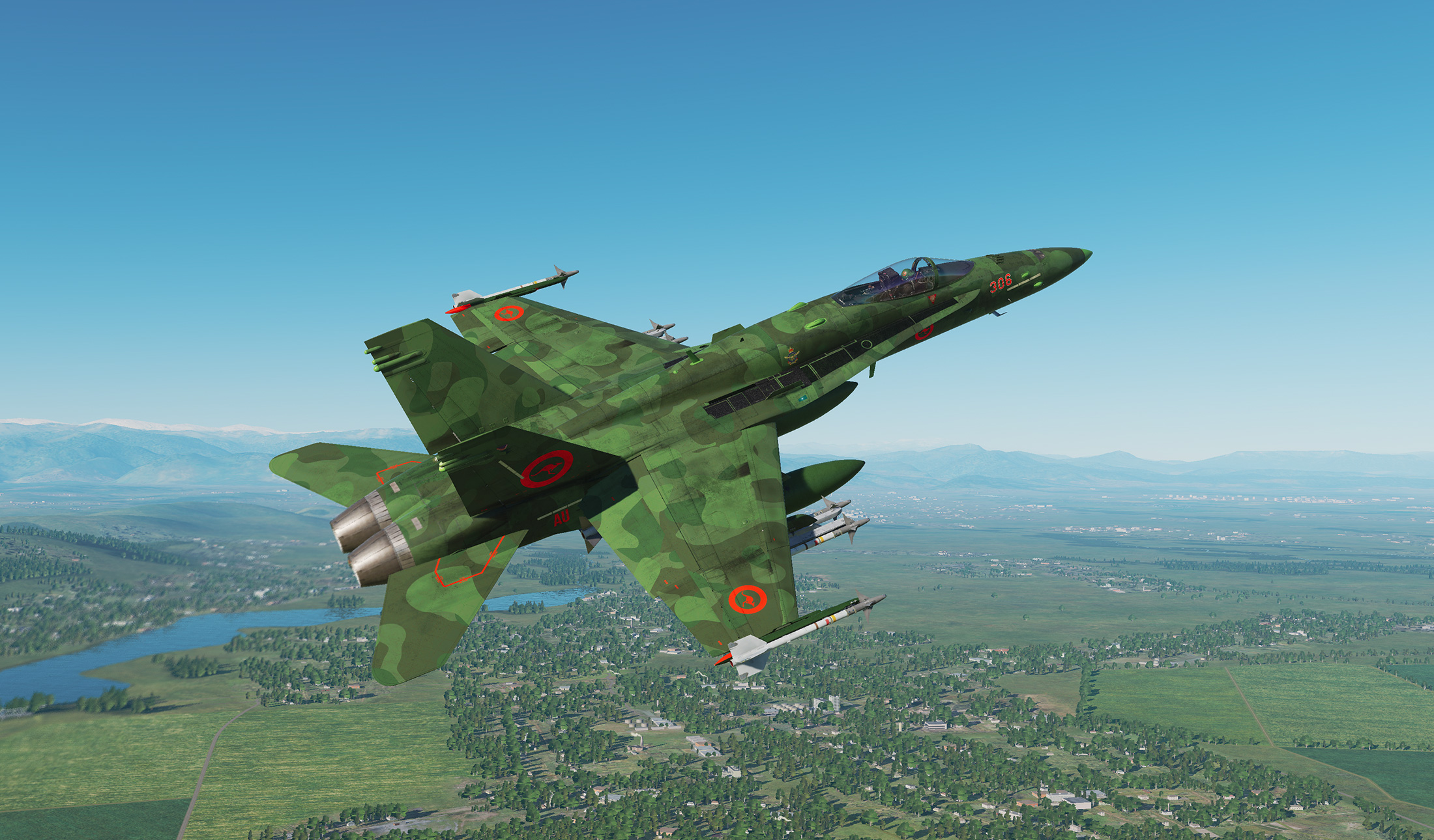 Aussie RAAF (Dirty Caucasus Camouflage)