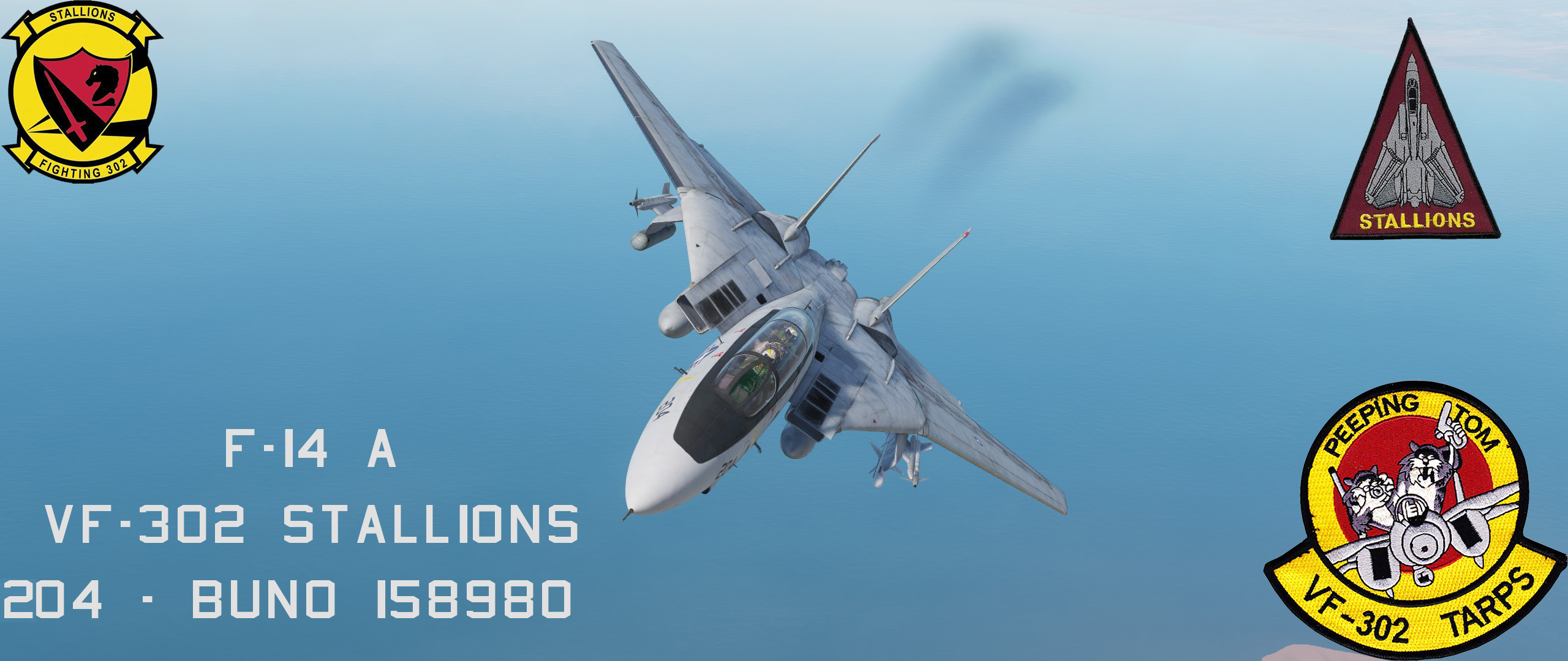VF-302 "STALLIONS" F-14A TOMCAT Update 28Dic22