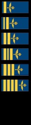 Swedish Ranking Insignia