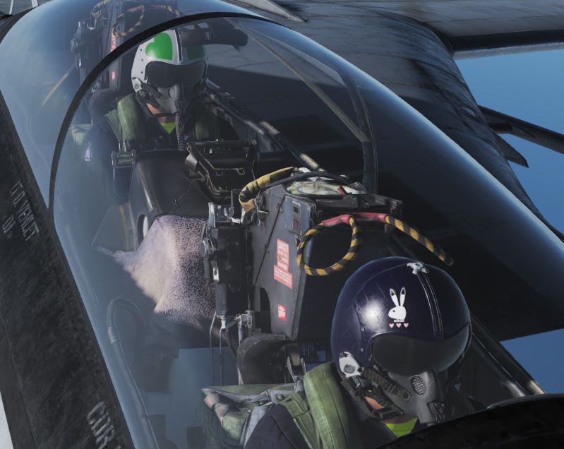 Skin F-14 Area88 Mickey Simon ver2.0