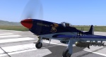 USAF serps dragon