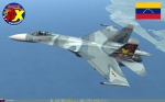 Aviacion Militar Bolivariana de Venezuela [Su-27] Modulo-1