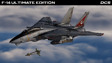 dcs-world-flight-simulator-17-f-14ue
