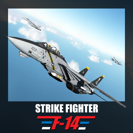 'Strike Fighter' - F-14 mod