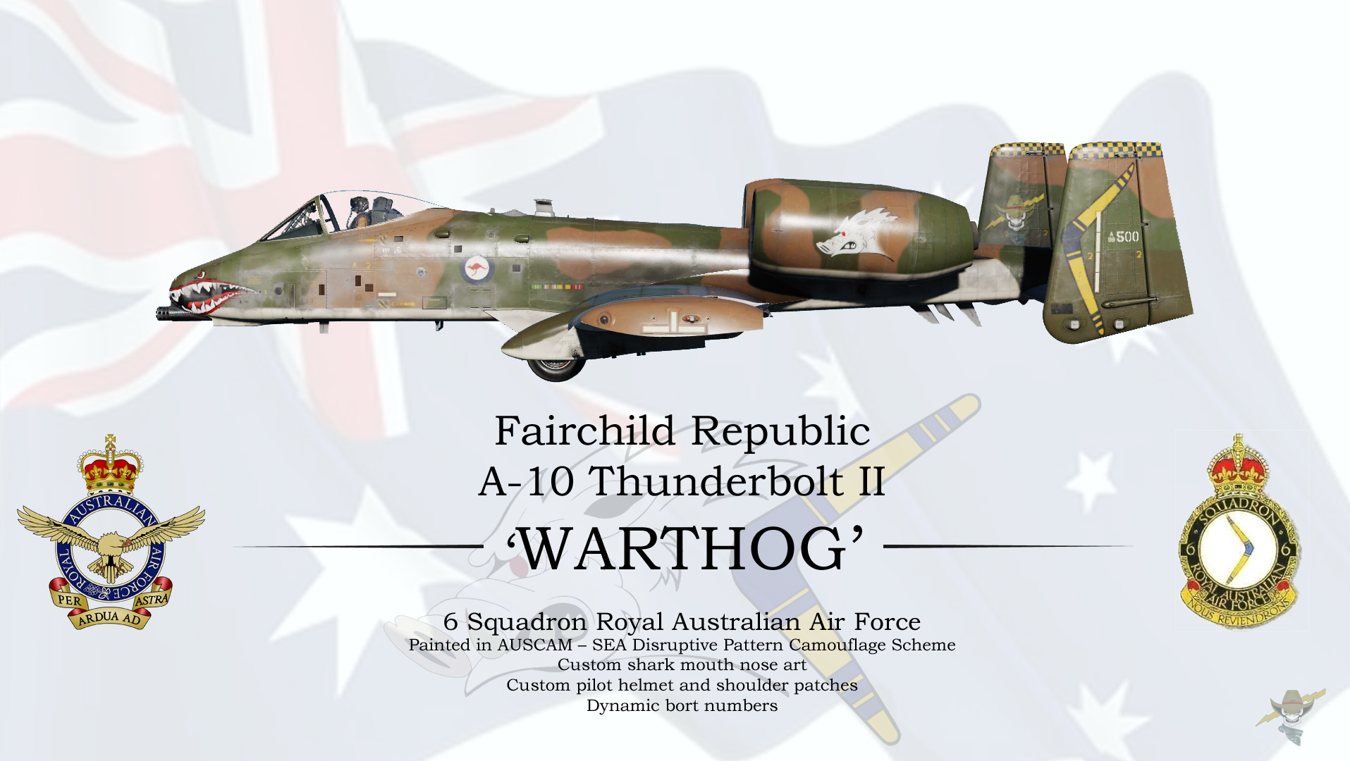 RAAF 6 Sqn A-10CII - SEA Visibility Scheme
