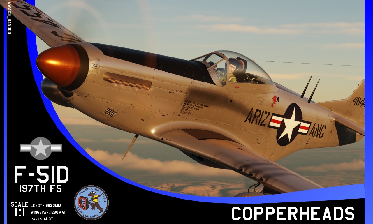197th Fighter Squadron ‘Copperheads’ F-51 Arizona Air National Guard