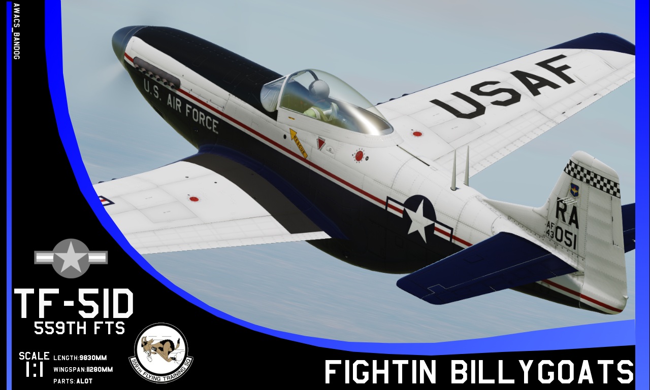 559th Flying Training Squadron P-51D