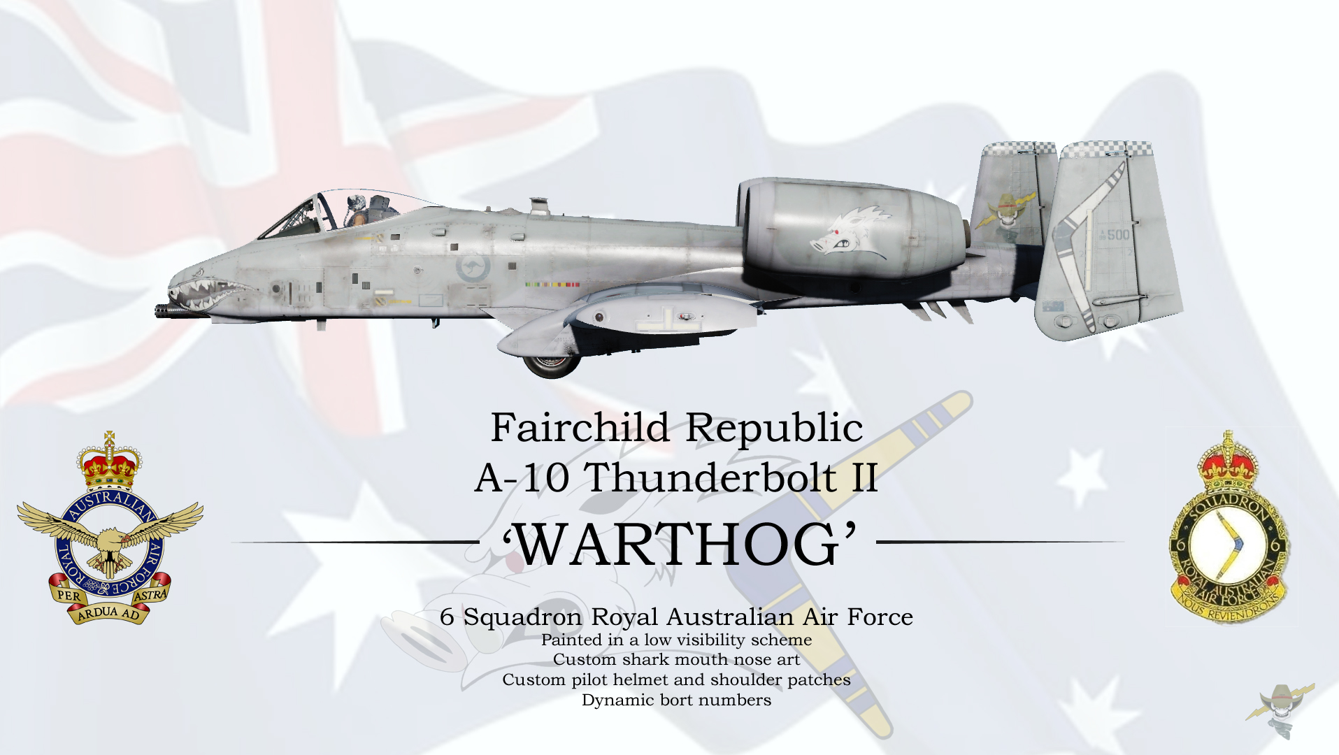 RAAF 6 Sqn A-10CII - Low Visibility Scheme
