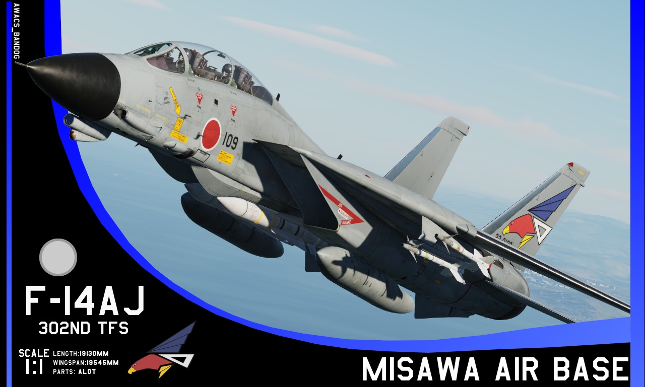 JASDF 302nd Tactical Fighter Squadron F-14AJ