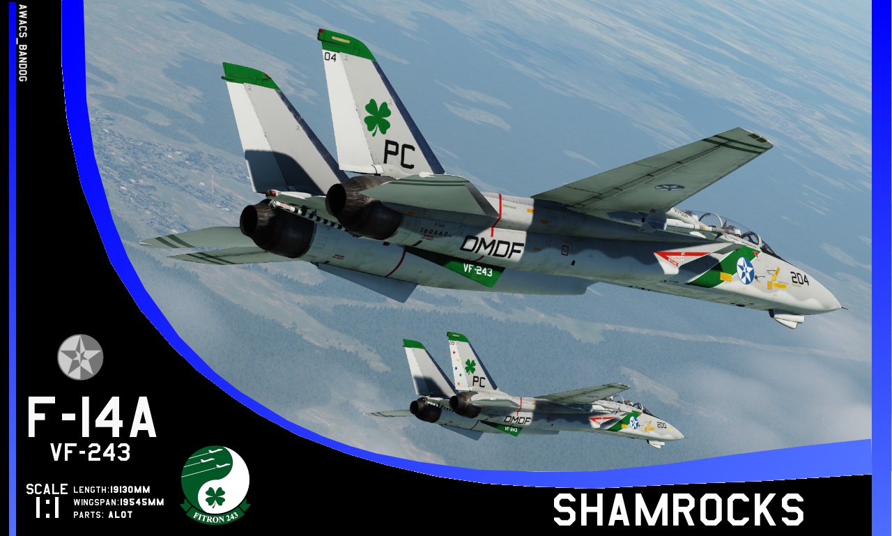 Ace Combat - Fighter Squadron 243 "Shamrocks" 1976