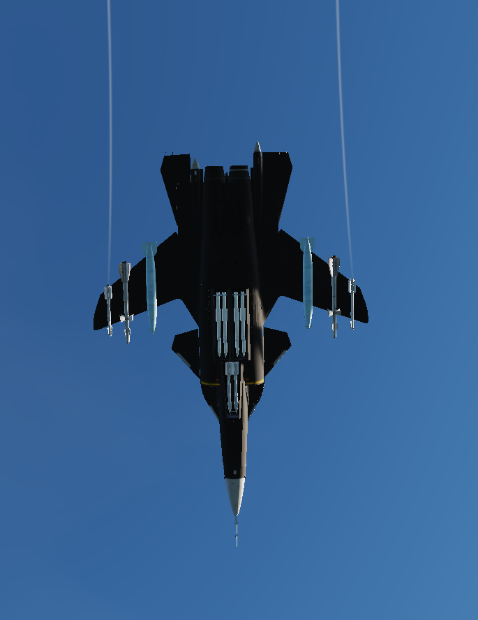 Su-47 Firkin / Cy-47 Berkut / S-37 Mod v.1.0