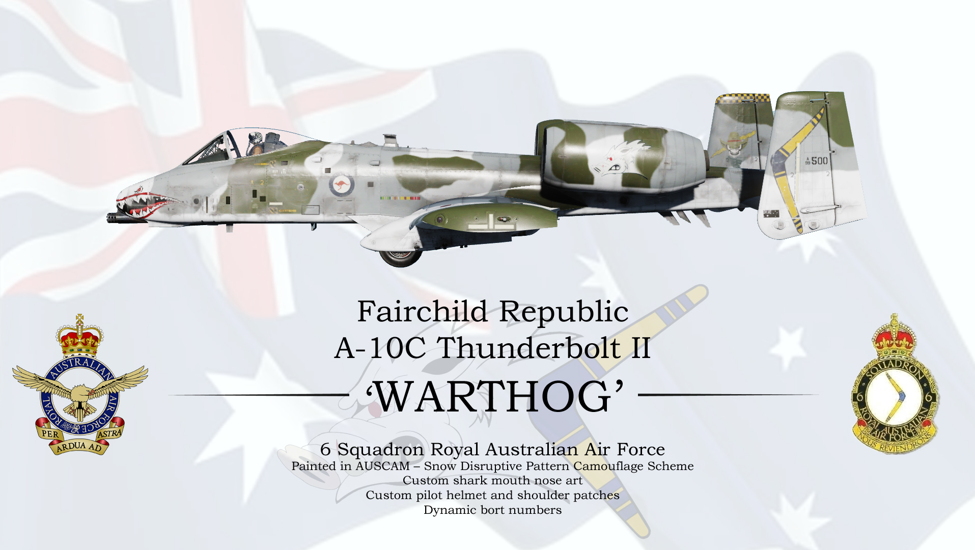 RAAF 6 Sqn A-10CII - Snow Visibility Scheme