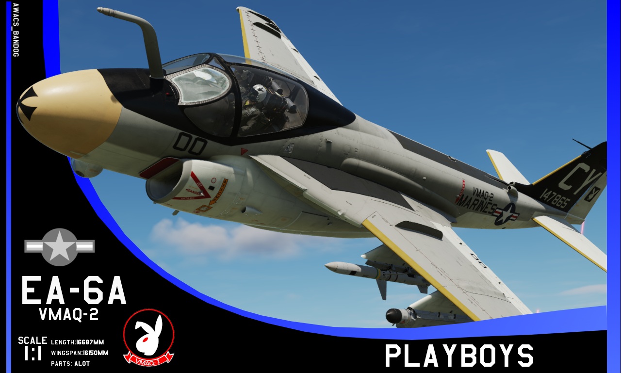 VMAQ-2 "Playboys" EA-6A (1979)