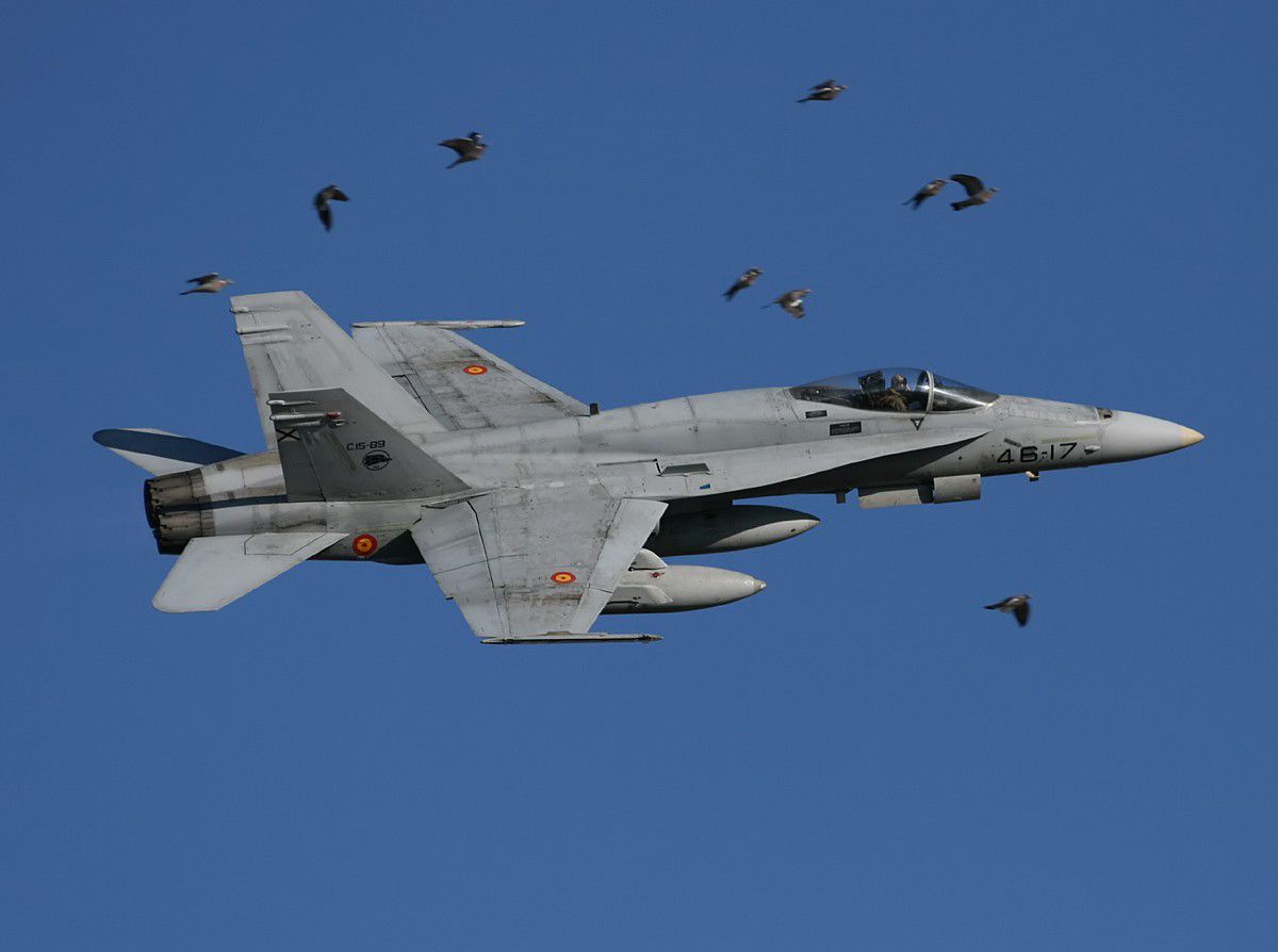 Unlocker for all skins F/A-18C Hornet