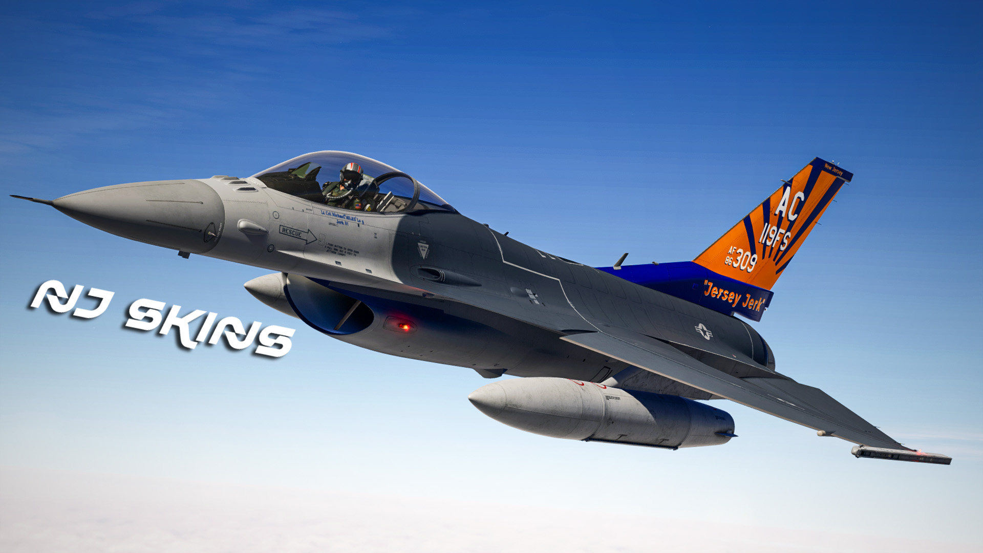 USAF 119th Fighter Squadron “Jersey Jerk” -- NJ