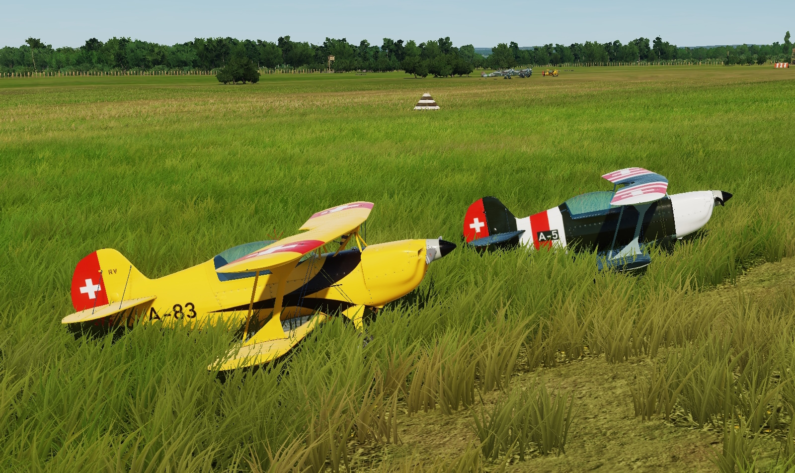 Christen Eagle Swiss Air Force (Fictional) v5